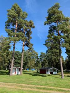 Charmiga enkla campingstugor utan vatten, dusch/wc