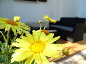 schöne gemütliche Wohnung mit Meerblick, Wi-Fi, Klimaanlage, geeignet auf sehr gute Lage,