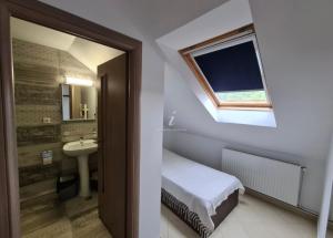 Vila Dini(La Rogojini)