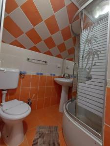 Pensiunea Dana Olteanu