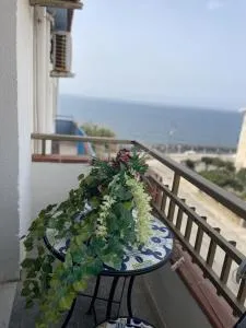 Case Vacanza Trappetodavivere - Trappeto