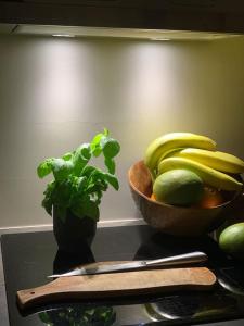 Cosy appartement lumineux Montparnasse