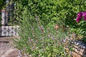 Ferienwohnung für 3 Personen ca 36 qm in Pula-Fondole, Istrien Istrische Riviera