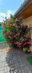 Limonádé Apartman AC Agárd Élményfürdő mellett