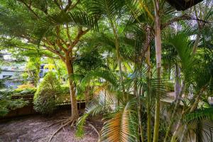 Little Yellow House- AoNang