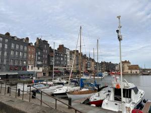 Appartements Large Apartment in City Center : photos des chambres