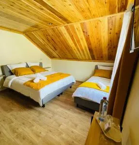 Au sommet des Salazes - 萨拉济