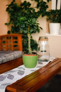 Apartman Mina 2