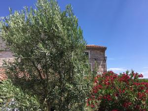 Beautiful stone house in Istria