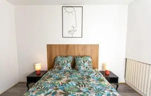 Appartement T3 gare de Chambéry centre ville - Bassens