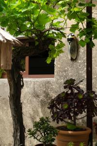Maisons d'hotes LA SUITE - Maison M Fabre : photos des chambres