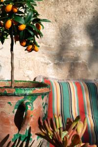 Maisons d'hotes LA SUITE - Maison M Fabre : photos des chambres