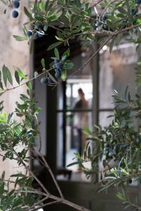 Maisons d'hotes LA SUITE - Maison M Fabre : photos des chambres