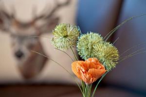 Ferienwohnung Schäferhütte