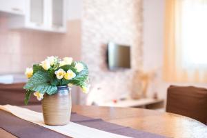 Ferienwohnung für 5 Personen ca 50 qm in Srima, Dalmatien Norddalmatien - b60463 