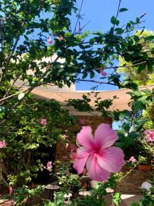 Luxury house with sea view img4