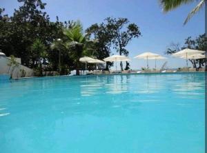 Excelente apartamento nr 317, 2dormitórios, Pé na Areia Praia das Toninhas com Piscina