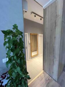 Cozy apartment close to the city center