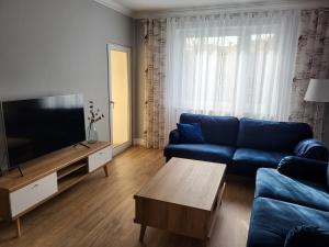 Apartament INA