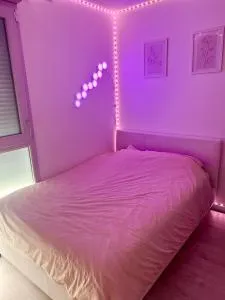 Chambre à louer avec salle de bain privative - 维尔尼斯苏泽