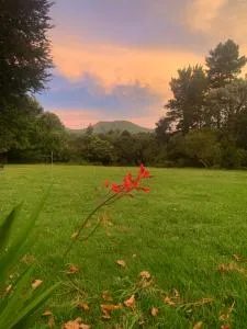 Hogsview - Stutterheim