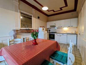 Maison indépendante avec terrasse et jardin clos à Yssingeaux, proche loisirs et commerces - FR-1-582-144