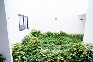 Luz, plantas y dos camas por recámara, Americana