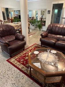 The singing frogs studio