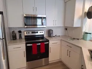 Briarcliff Oasis - Stone Mountain