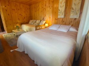 Vista al volcán con tinaja y río en Conguillío