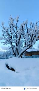 The Himalayan Inn homestay
