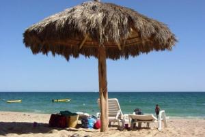 Luxurious 1 Bedroom Ocean Front in Las Palomas