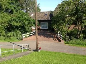 Holiday house on the Diek - 博克霍尔恩