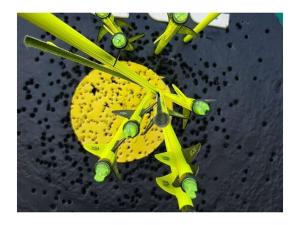 Uitzicht op de Pellenz