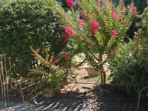 Camargue Modern retreat