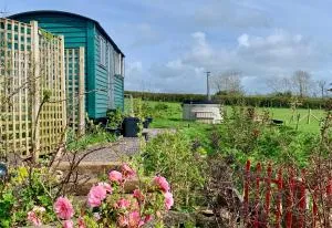Shepherds Hut with Hot Tub North Wales Anglesey - 盖尔文