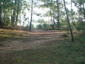 Maisons de vacances Maison 3 chambres au calme, 3* - Proche plage et commerces, WiFi, terrasse, jardin, TV box, garage - FR-1-323-525 : photos des chambres