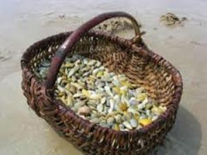 Maisons de vacances Maison 3 chambres au calme, 3* - Proche plage et commerces, WiFi, terrasse, jardin, TV box, garage - FR-1-323-525 : Maison de Vacances