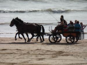 Appartement confortable à Saint-Jean-de-Monts pour 5 pers, face à la mer - FR-1-323-340