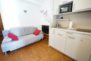 Apartments Vršič on the ski slope with free parking