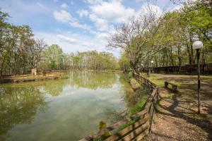 Apartamento Superior de 1 dormitorio