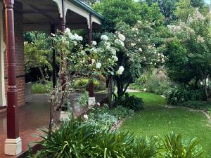 Gold and Grapes Garden Suites