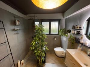 B&B / Chambres d'hotes Casa Lovo : photos des chambres