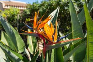 Villa Stefania Costa Rei img24