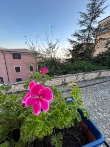 Appartamento con Vista e Balcone