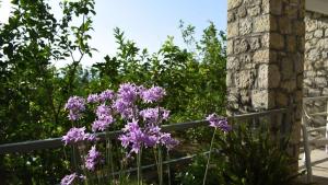 Coastal Stone Hideaway with Stunning Scenery