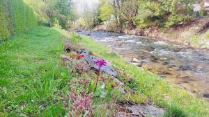 Country House Liptov