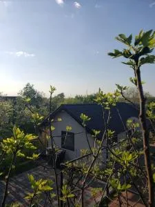 Lotca_lu_Vasile - Gorgova