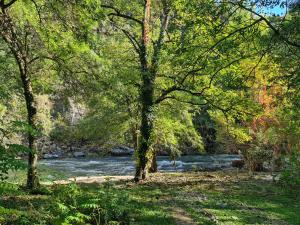 B&B / Chambres d'hotes Le Moulin D'onclaire Camping et chambres d'hotes : photos des chambres