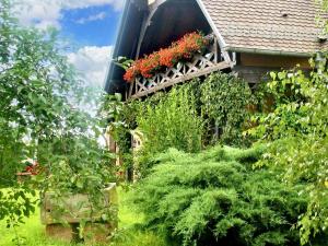 Appartements Appartement charmant a Hochfelden - 100 m² et parking gratuit : photos des chambres